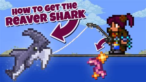 Reaver Shark .